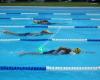 Coromandel Swimming Club