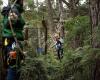 Coromandel Zipline Tours