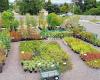 Cottle Hill Nursery