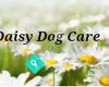 Daisy Dog Care