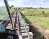 Dargaville Rail Tours