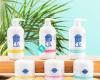Desree Morrison - Independent Scentsy Consultant