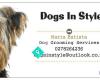 Dogs In Style-Dog Grooming Napier