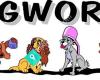 Dogworkz