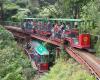 Driving Creek Railway