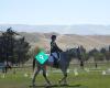 Dunedin Riding Academy