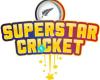 Dunedin Superstar Cricket Programme