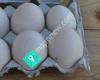 Eggcellent Duck Eggs