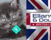 Ellanvannin & Doublestar British Shorthairs