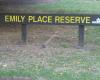Emily Place Reserve