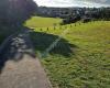 Endeavour Park