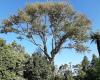 EUCY Tree Care & Landscapes Ltd