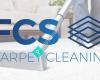 FCS Carpet Cleaning NZ