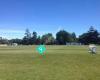 Feilding Cricket Club