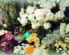 Florabunda Silk Flower Florist Online