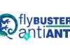 Flybusters Antiants