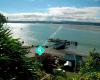 Forest View Motor Camp, Kawhia.