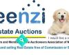 Freenzi Real Estate Auctions