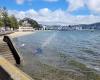 Freyberg Pool & Fitness Centre