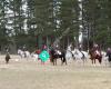 Geraldine Pony Club