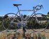 Giant Bicycle Taupo