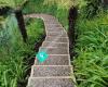 Green Living Landscapes
