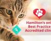 Hamilton Small Animal Veterinary Centre