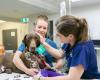 Hamilton Veterinary Services