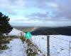 Haven Mtb Park