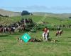 Hawke's Bay Hunt Inc