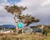 Hi-Noon - 1960s bach at Waikanae Beach (near Wellington)