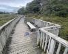 Hobson Bay Walkway