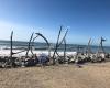 Hokitika Beach Sign