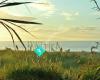 Hokitika Beach Vibe