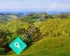 Hopewell B&B - Helena Bay Hill - Whangarei - New Zealand
