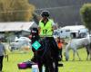 Horse Endurance and Stuff