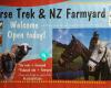 Horse Trekking & NZ Farmyard Experience