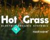 Hot Grass