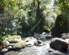 Huia Regional Park