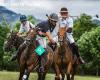 Into Polo NZ