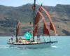 Jack Tar Sailing Co Lyttelton