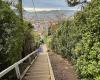 Jacobs Ladder Dunedin