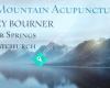 Jade Mountain Acupuncture & Chinese Herbs