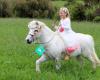 Jellybean pony parties & Rides
