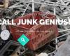 Junk Genius