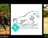 Katie Bird Equine Sports Therapies