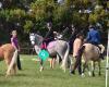 Kaukapakapa Pony Club