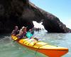 Kayak Waiheke & Ross Adventures