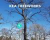 Kea Treeworks