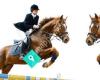 Kingslea Park Riding School Ponies